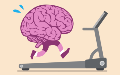 The brain loves exercise!