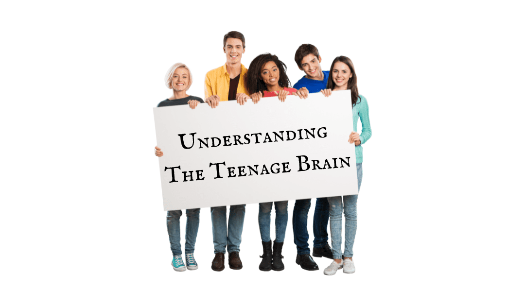 Understanding The Teenage Brain