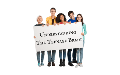 Understanding The Teenage Brain